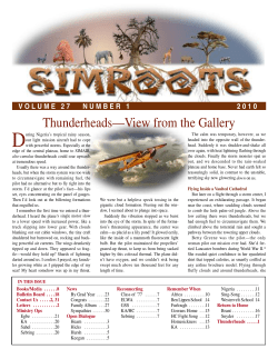 27.1 Spring - Simroots Home