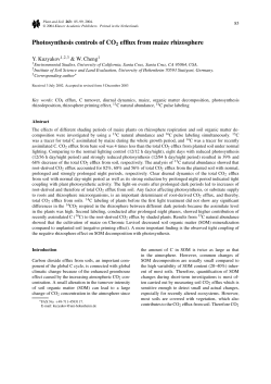 Photosynthesis controls of CO2 efflux from maize rhizosphere