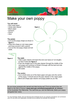 Make your own poppy - Australian War Memorial