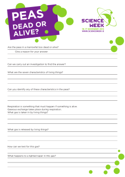 Peas - dead or alive?