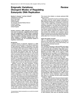 Divergent Modes of Regulating Eukaryotic DNA Replication