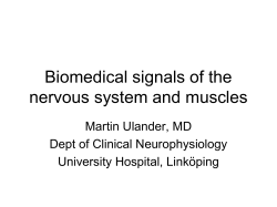 Biomedical signals of the nervous system and muscles