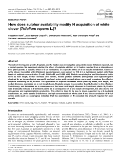 How does sulphur availability modify N acquisition of white clover