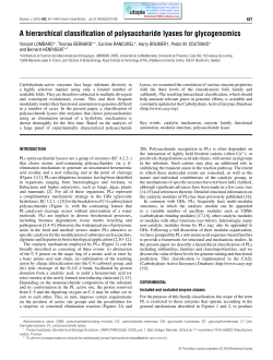 A hierarchical classification of polysaccharide lyases for