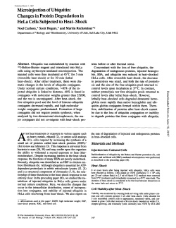 Microinjection of Ubiquitin - The Journal of Cell Biology