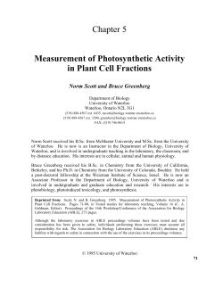 Measurement of Photosynthetic Activity in Plant Cell Fractions