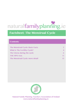 Factsheet: The Menstrual Cycle