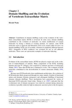 Domain Shuffling and the Evolution of Vertebrate