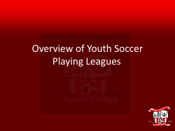 Overview of Youth Soccer Playing Leagues