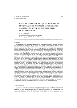 CILIARY GRANULE PLAQUES - Journal of Cell Science