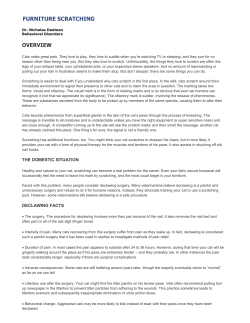 Furniture Scratching - Abbey Animal Hospital