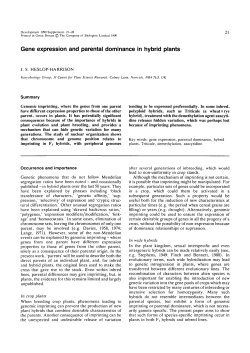 Gene expression and parental dominance in hybrid plants