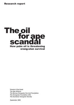 The oil for ape scandal - full research report