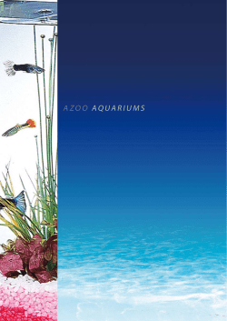AZOO AquAriums