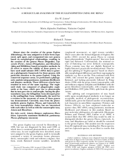 a molecular analysis of the euglenophytes using ssu rdna1