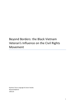 Beyond Borders: the Black Vietnam Veteran`s Influence on the Civil