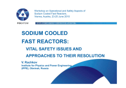 sodium cooled fast reactors