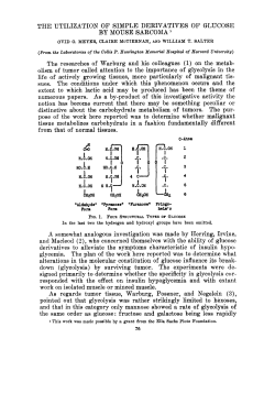 TIlE UTILIZATION OF SIMPLE DERIVATIVES OF GLUCOSE BY