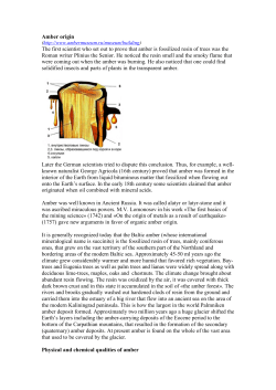 Amber origin The first scientist who set out to prove that amber is