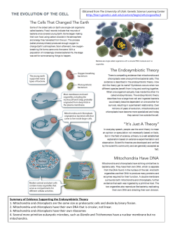 Kingdom Protista Package