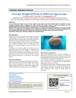 Average Weight 0f Brain in Different Age Groups.