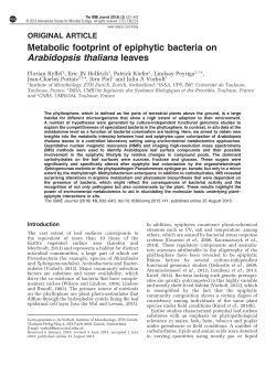 Metabolic footprint of epiphytic bacteria on Arabidopsis