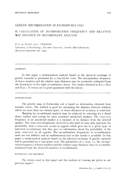 genetic recombination in escherichia coli ii. calculation of