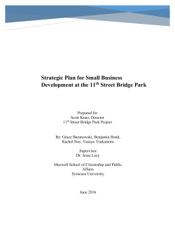 Bridge Park Incubator Strategic Implementation Plan_Maxwell