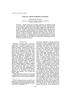 Issues for Aquatic Pedestrian Locomotion1