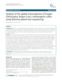 Analysis of the global transcriptome of longan (Dimocarpus longan