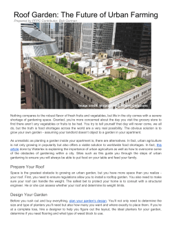Roof Garden: The Future of Urban Farming