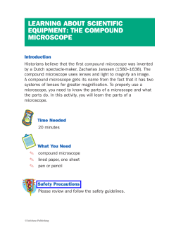 compound microscope - Infobase Publishing