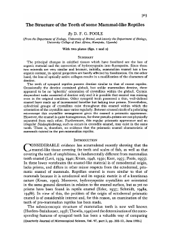 3&deg;3 The Structure of the Teeth of some Mammal