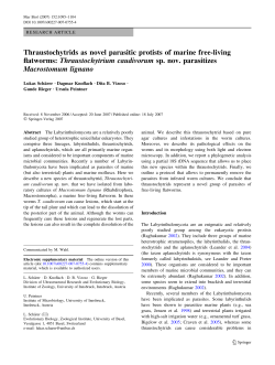 Thraustochytrids as novel parasitic protists of marine free