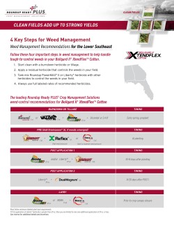 4 Key Steps for Weed Management