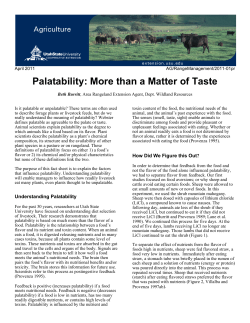 Palatability - More Than a Matter of Taste