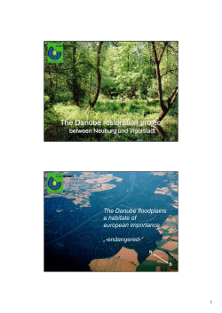 The Danube restoration project The Danube restoration project