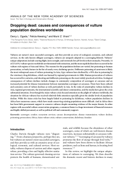 Dropping dead: causes and consequences of vulture population