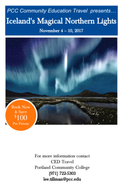 Iceland`s Magical Northern Lights