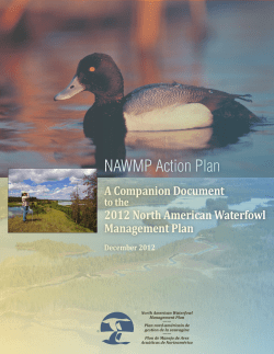 NAWMP Action Plan - NAWMPRevision.org