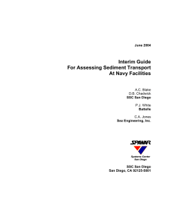 as a PDF - CLU-IN