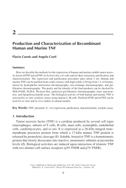 Production and Characterization of Recombinant Human and