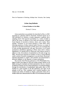 as a PDF