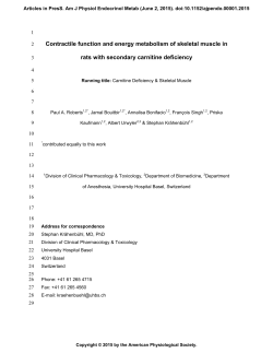 Contractile function and energy metabolism of skeletal muscle in