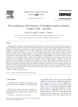 The morphology and formation of floodplain