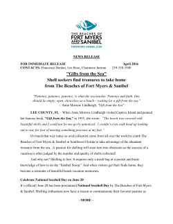 "Gifts from the Sea" Shell seekers find treasures to take home from