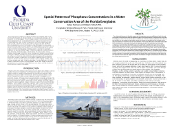 poster - Florida Gulf Coast University