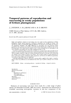 Temporal patterns of reproduction and outcrossing in weedy