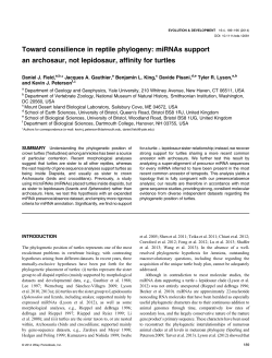 Toward consilience in reptile phylogeny: miRNAs support an