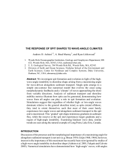 Coastal Sediments 07 Author Instructions